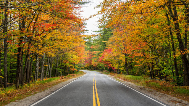Rural road through western Maine in Autumn