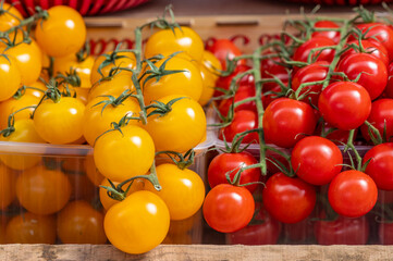 tomatoes red and yellow on the market