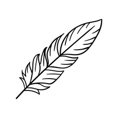 Obraz premium Hand drawing style of feather vector. Suitable for clothes icon, sign or symbol. 