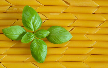 italian pasta named penne rigate and basil, close up, italian food and restaurant concept