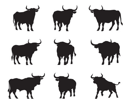 Silhouette bull collection - vector illustration