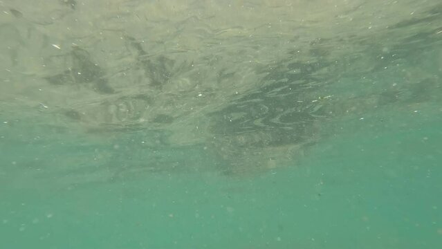 An underwater view of a wild beach with sea shells in Israel. The footage shows the sandy coast of Atlit city by the Mediterranean Sea.