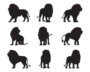 Silhouette lion collection - vector illustration