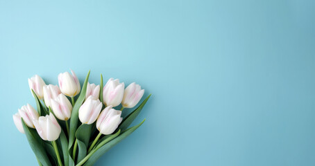 Bouquet of white tulips on a blue background. Place for text.