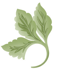 hand drawn flower illustration