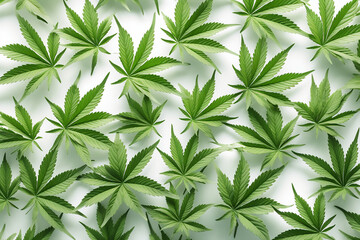 Illustration of cannabis leaves on a white background