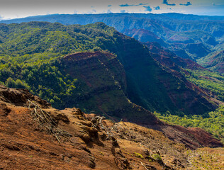 The Verdant Mountains of Waimea Canyon, Waimea Canyon, Waimea State Park, Kauai ,Hawaii, USA