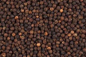 Black pepper zoomed in on