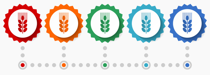Grain, wheat vector icon set, colorful infographic template, set of flat design badge icons in 5 color options