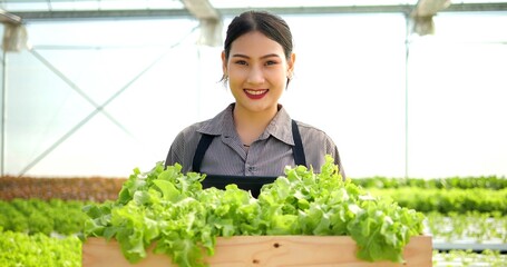 Close up portrait young asian woman farmer holding organic lettuce on hands in greenhouse garden looking to camera. Organic hydroponics vegetable farm, Healthy and vegan food concept