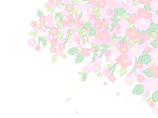 Hand painting drawing background pattern inspired by Japan sweet pastel blossom flower tree digital clipart