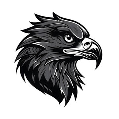 Obraz premium Hawk Mascot