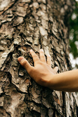 Hands touching a tree. Connecting to nature.