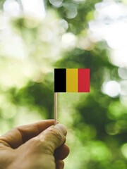 The Flag of Belgium which is held in hand at the forest.