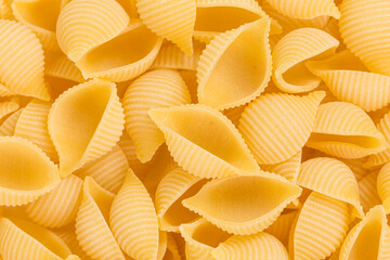conchiglie pasta shell