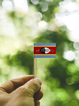 The Flag of Eswatini which is held in hand at the forest.