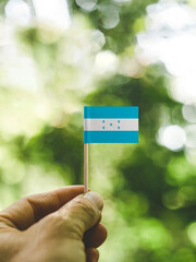 The Flag of Honduras which is held in hand at the forest.