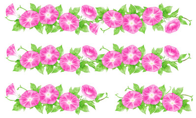 Pink morning glory decorative border drawn with digital watercolor