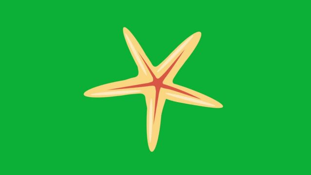 Animated Flat Style Sea Star Isolated on Chroma Green Screen Nature Sea or Summer Vacation Creative Design Element Seashell Element Sea Star Shell Animation Motional Sea Design Element