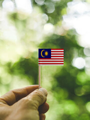 The Flag of Malaysia which is held in hand at the forest.