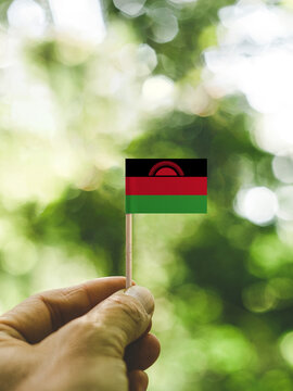 The Flag of Malawi which is held in hand at the forest.