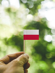 The Flag of Poland which is held in hand at the forest.