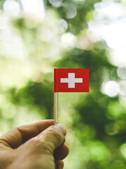 The Flag of Switzerland which is held in hand at the forest.