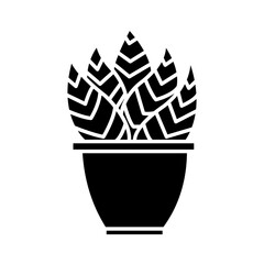 Solid SANSEVIERIA design vector icon design vector line icon svg