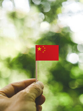 The Flag of China which is held in hand at the forest.