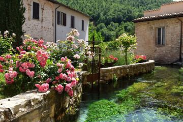 Fototapeta na wymiar Old stone house in Rasiglia, Umbria (Italy), with pink flowers and a stream of water