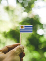 The Flag of Uruguay which is held in hand at the forest.