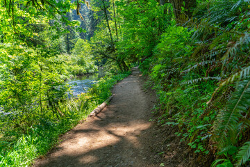 Trails Near South Falls