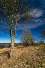 01-04-2023 Jylland, Denmark. Landscape - Naked trees