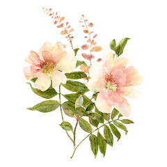 Rose flower watercolor bouquet - 609677717