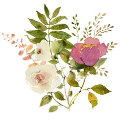 Rose flower watercolor bouquet - 609677758