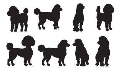 Silhouette poodle dog vector set .