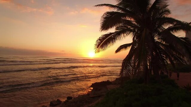 Aerial Shot Of Silhouette Plants And Trees By Sea Against Sky, Drone Flying Forward Over Coastline At Sunset - Oahu, Hawaii