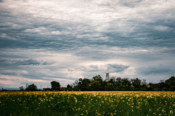 rapeseed, temple and stormy sky