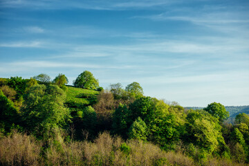 Fototapeta premium Round green hill with beautiful trees on the background of a blue sky with clouds. Spectacular natural blue green background with copy space