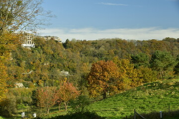 Paysage d'automne bucolique à deux pas de la Meuse à Profondeville