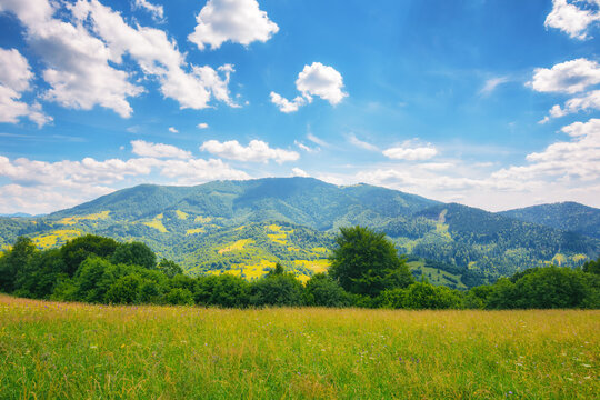 countryside scenery with meadow in mountains. empty grassy pasture in summer. green hay field landscape on a sunny day