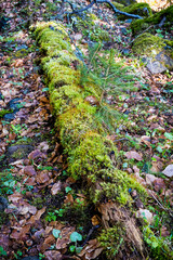 Natural scenery, Polana mountains, Slovakia © vrabelpeter1