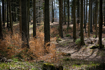 Natural scenery, Polana mountains, Slovakia © vrabelpeter1