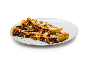 Birria Quesadilla on white plate