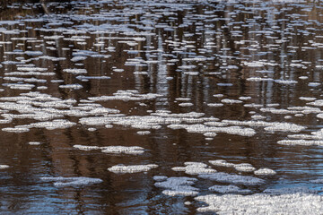 white foam on the water in the park pond