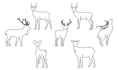 deer silhouettes set