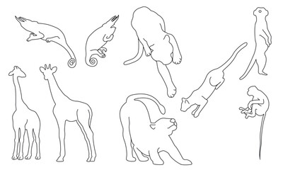 set of wildlife animals