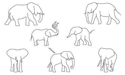 elephant animal set