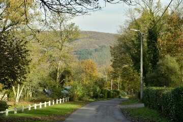 Route de campagne traversant un paysage forestier sur l'une des collines à Profondeville 