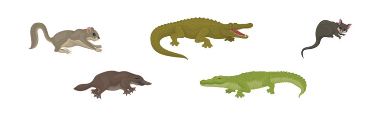 Different Australian Animals with Platypus, Crocodile and Bilby Vector Set